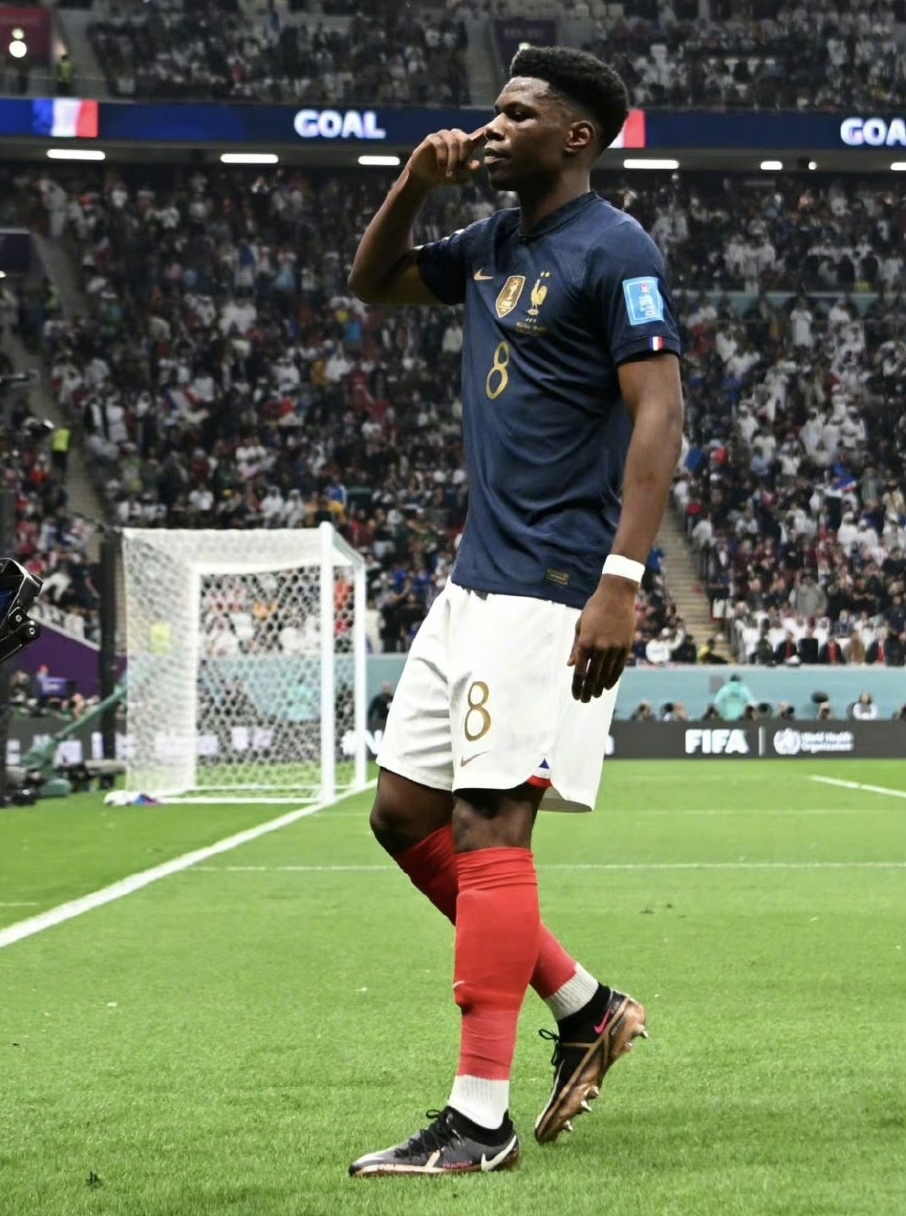 法国险胜奥地利，楚阿梅尼高光表现