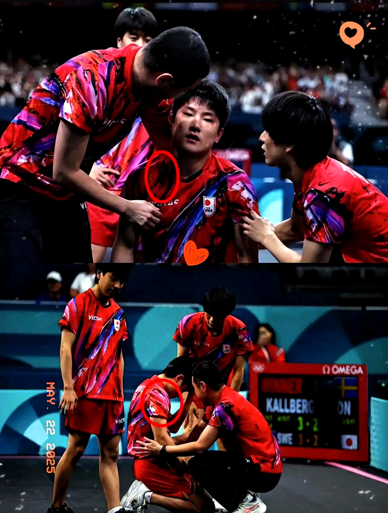 法国乒乓球队完胜日本乒乓球队，张本智和高光表现